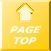 PAGE TOP 