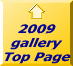2009 gallery  Top Page 
